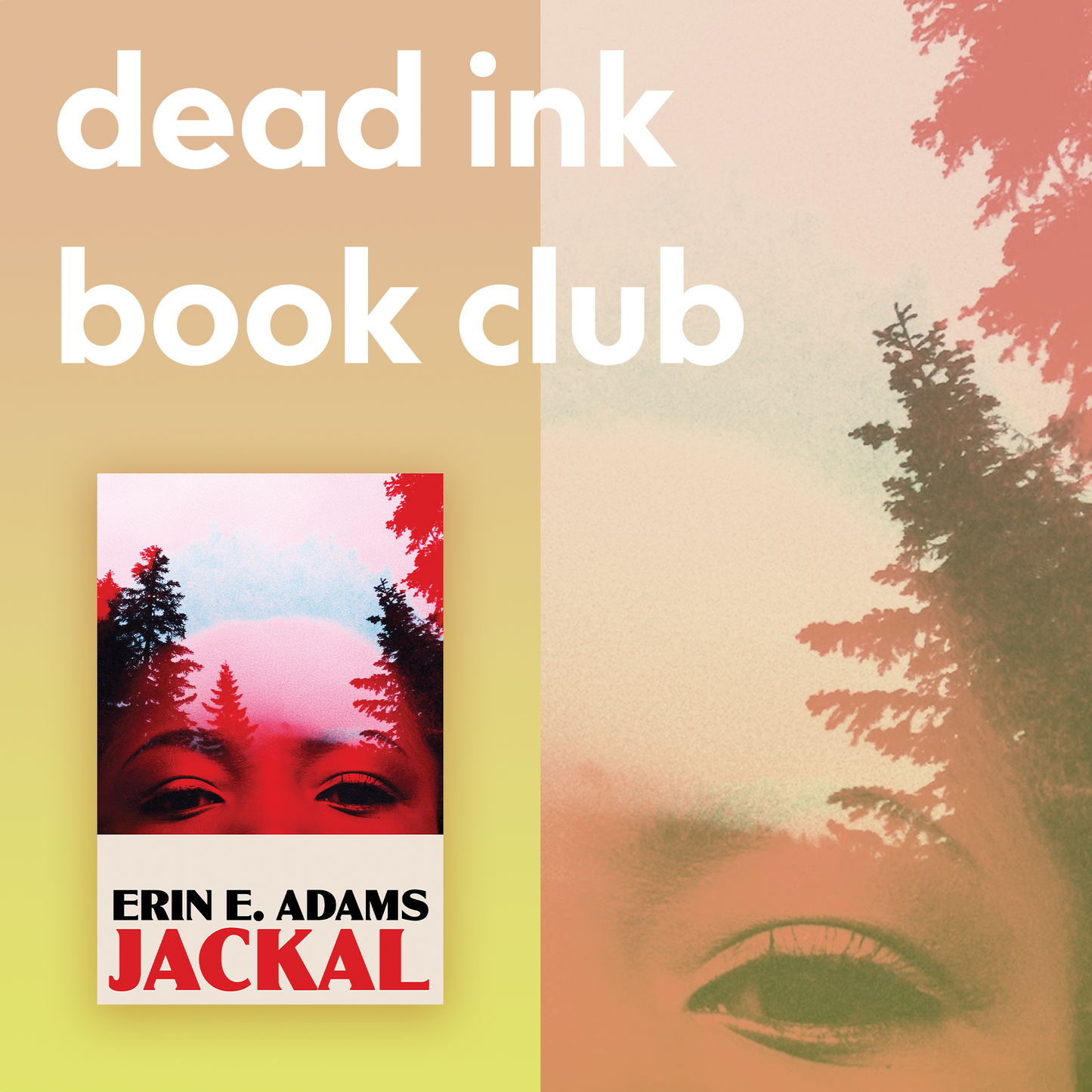 Dead Ink Book Club - JACKAL by Erin E. Adams