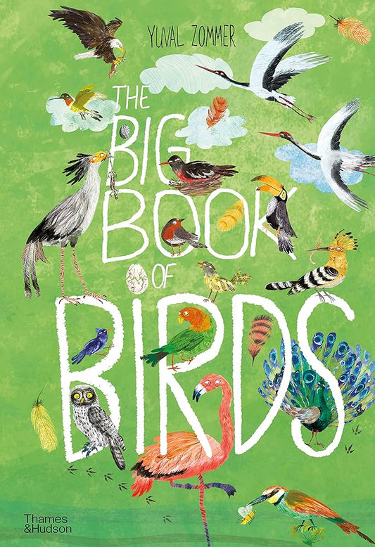 The Big Book of Birds — Yuval Zommer