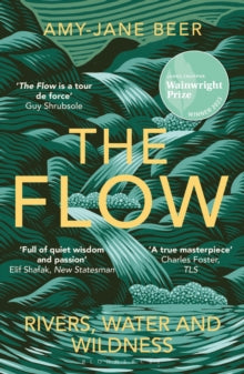 The Flow — Amy-Jane Beer