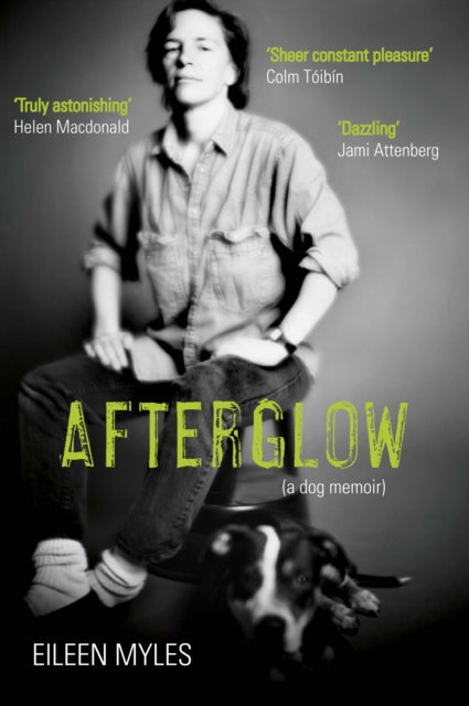 Afterglow — Eileen Myles