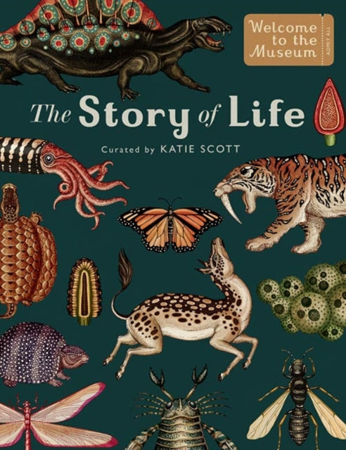 The Story of Life: Evolution — Katie Scott