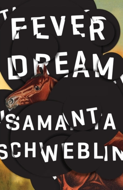 Fever Dream — Samanta Schweblin