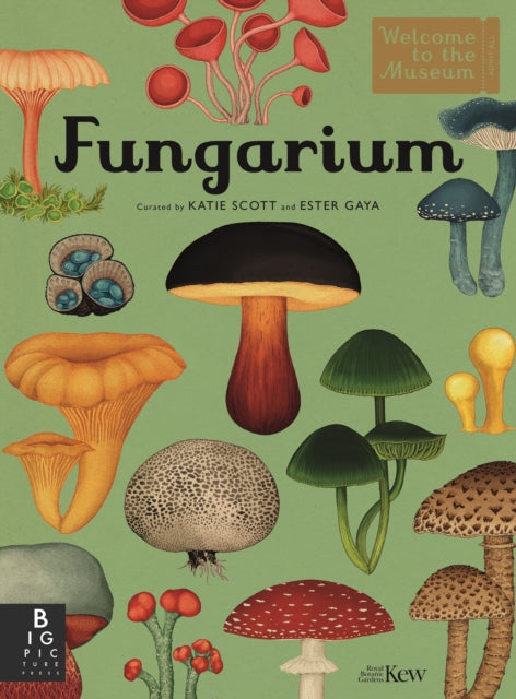 Fungarium — Latie Scott & Ester Gaya