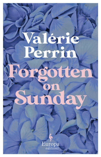 Forgotten on Sunday - Valerie Perrin