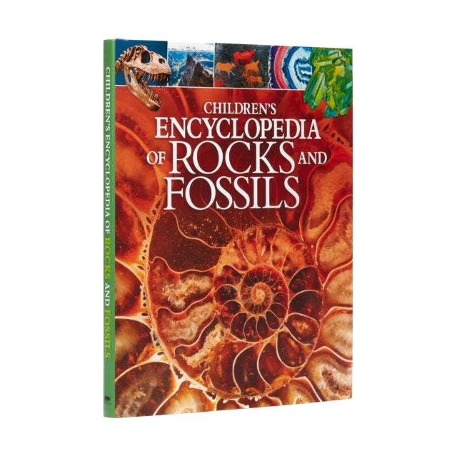 Children's Encyclopedia of Rocks and Fossils — Claudia Martin