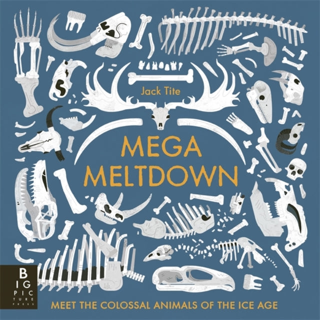 Mega Meltdown — Jack Tite