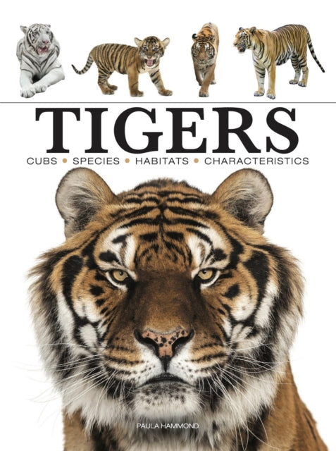 Mini Encyclopedias: Tigers — Paula Hammond