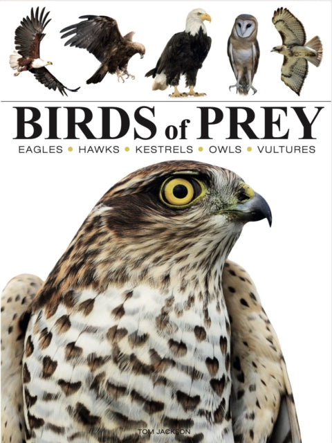 Birds of Prey —Tom Jackson