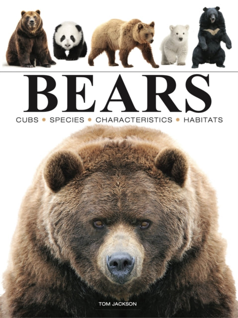 Mini Encyclopedias: Bears — Tom Jackson