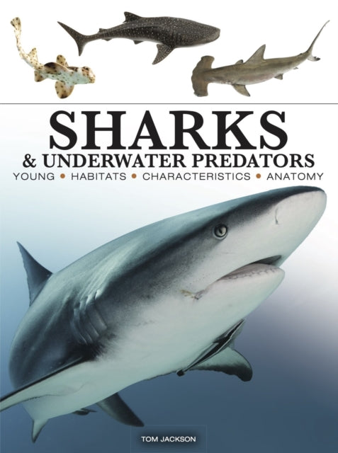 Sharks & Underwater Predators —Tom Jackson