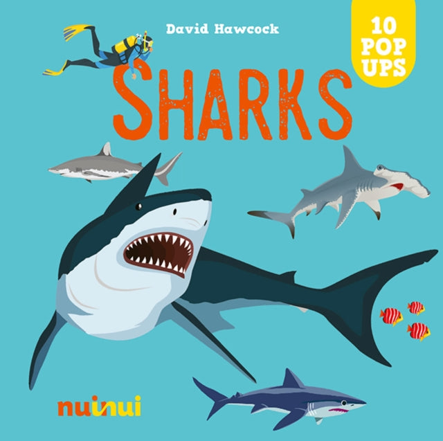 10 Pop Ups: SHARKS — David Hawcock