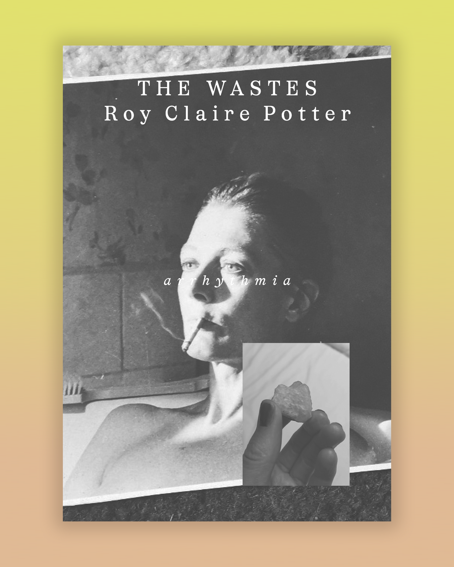 FEB 23 - Dead Ink Book Club - THE WASTES by Roy Claire Potter