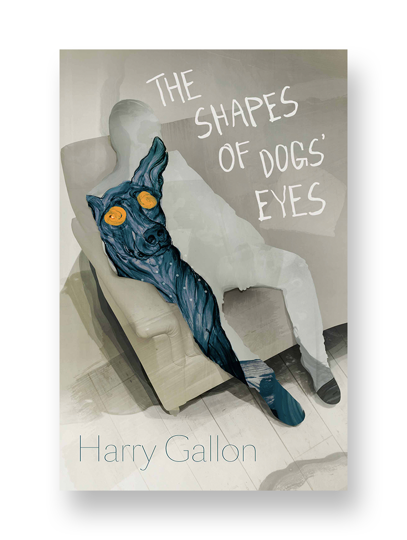 The Shapes of Dogs’ Eyes - Harry Gallon