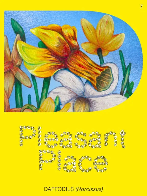 Pleasant Place #7 (2025)