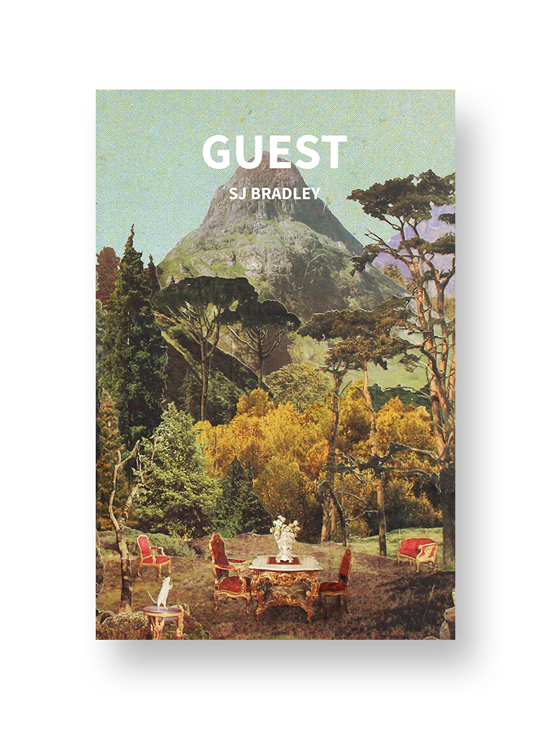 Guest — SJ Bradley (HARDBACK EDITION)