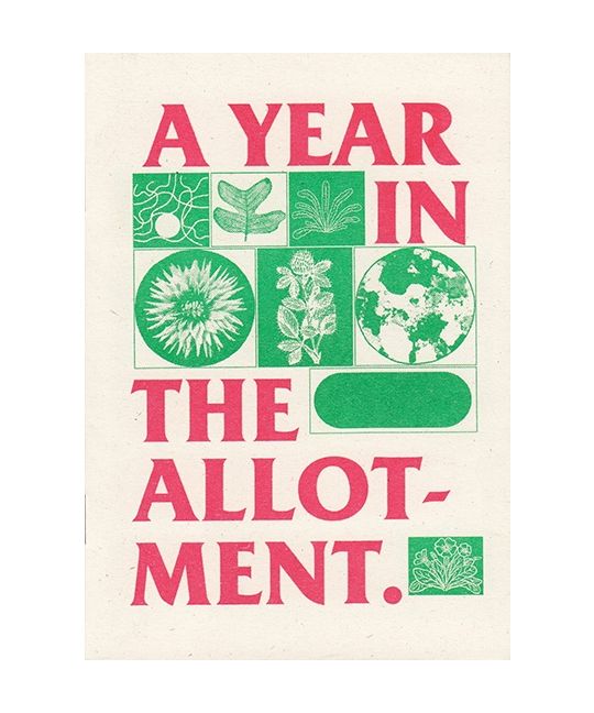 A Year in the Allotment