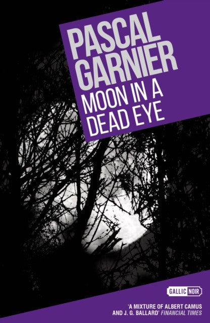 Moon in a Dead Eye — Pascal Garnier