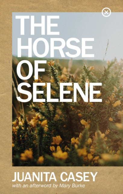 The Horse of Selene – Juanita Casey