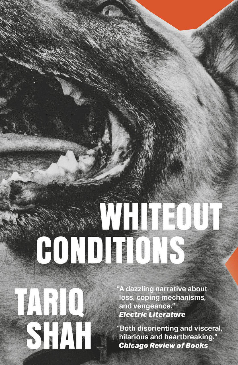 Whiteout Conditions — Tariq Shah